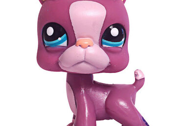 Kitten 1818 Littlest Pet Shop Collector s Wiki Fandom