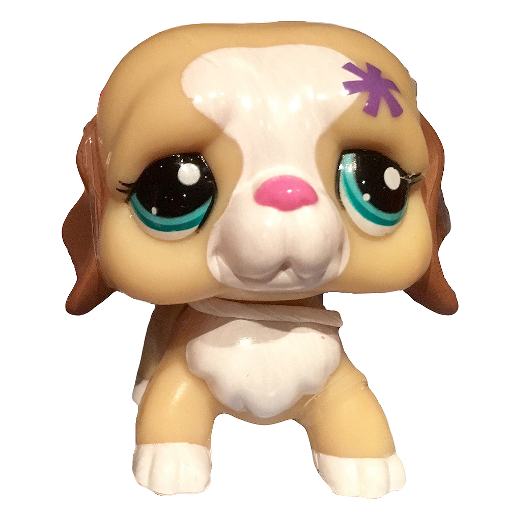 https://static.wikia.nocookie.net/the-littlest-pet-shop-wikia/images/7/79/LPS_2373.jpg/revision/latest?cb=20221222203957