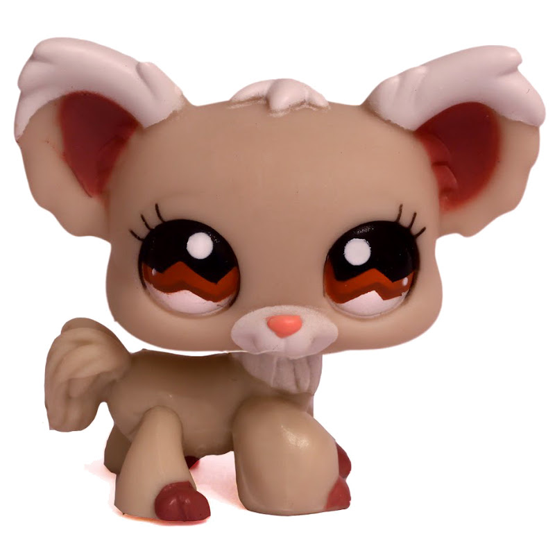 LPS Number 16, Littlest pet shop collector's Wiki