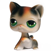 Little Lovin' Pet Playhouse, Littlest Pet Shop Collector's Wiki