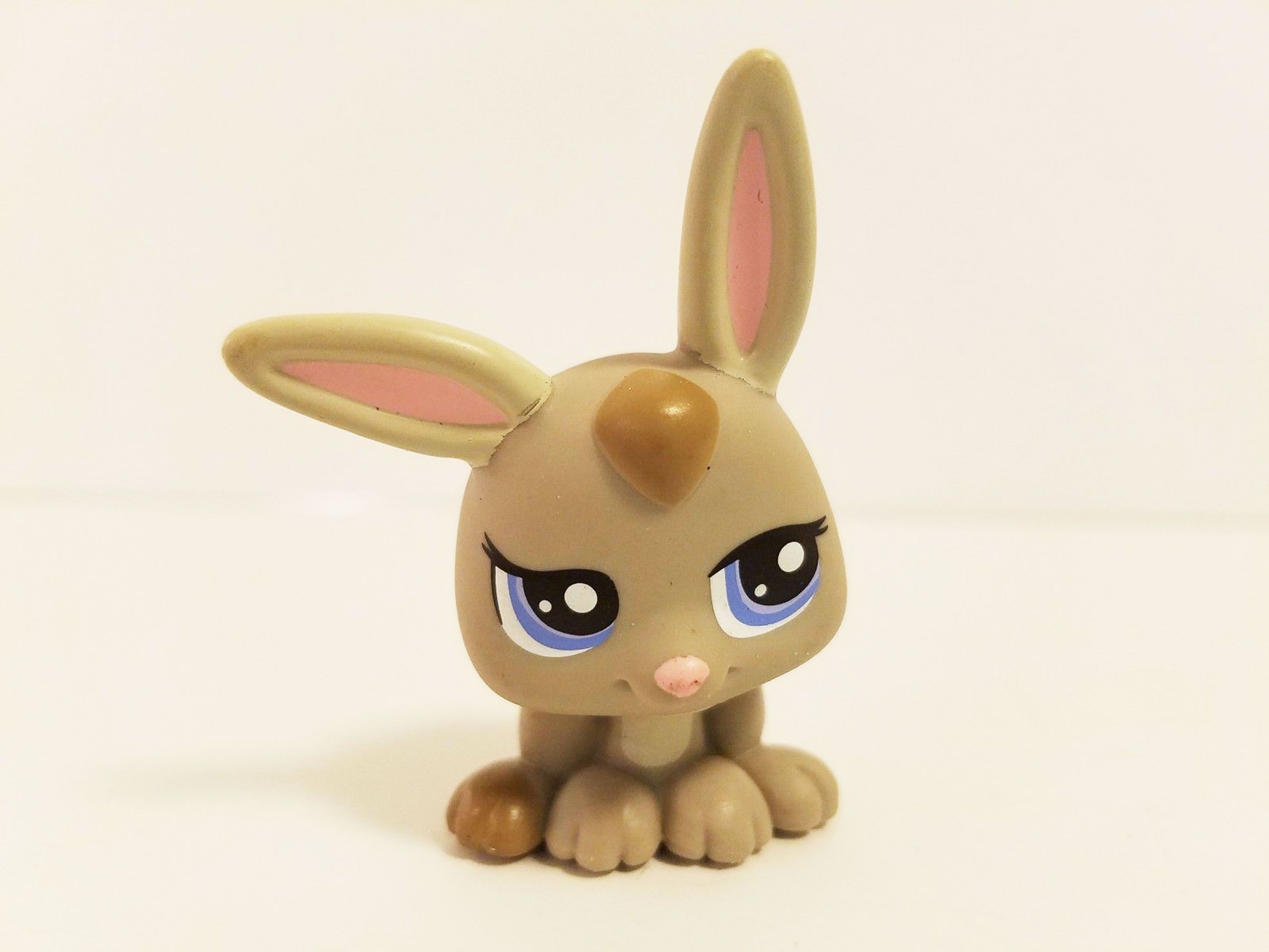 Little Lovin' Pet Playhouse, Littlest Pet Shop Collector's Wiki