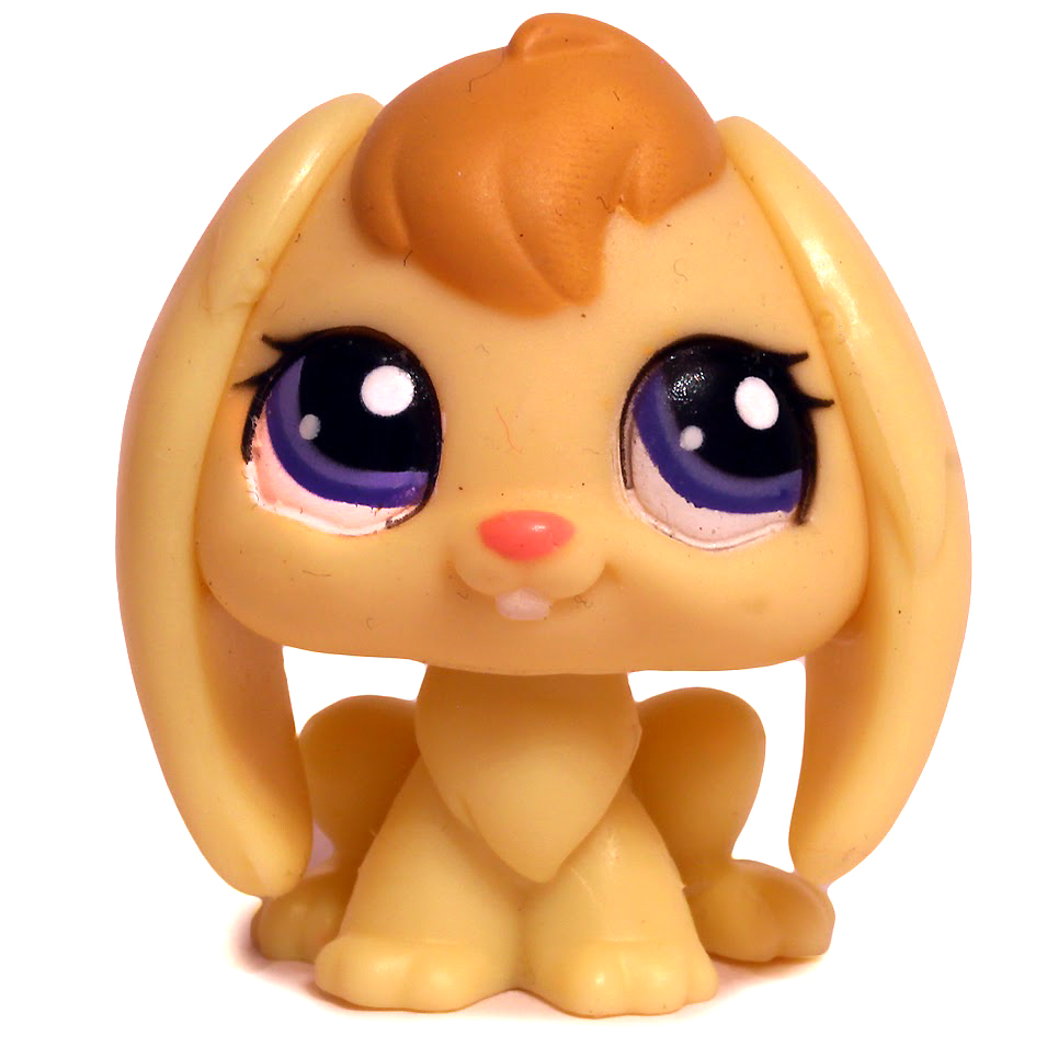 LPS Eye Types, Littlest Pet Shop Collector's Wiki