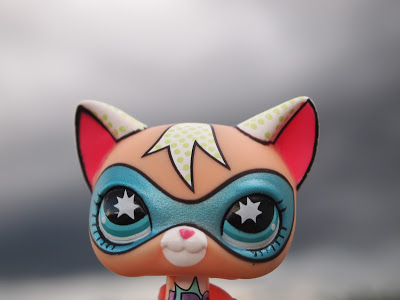 Littlest pet store shop identification