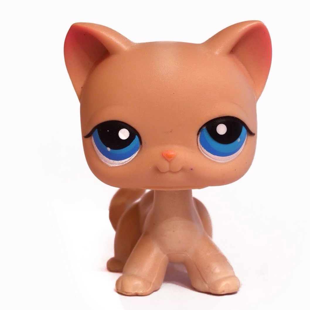 Shorthair Cat 228 | Littlest Pet Shop Collector's Wiki | Fandom