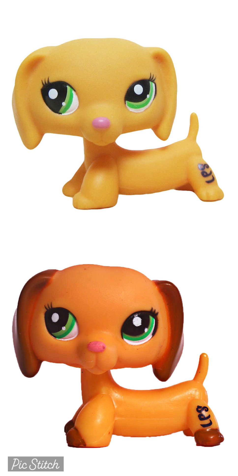 Dachshund 2597 | Littlest Pet Shop Collector's Wiki | Fandom