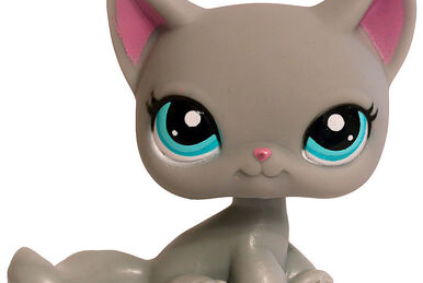 Gray shorthair cat lps sales
