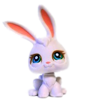 Lps rabbit 2024