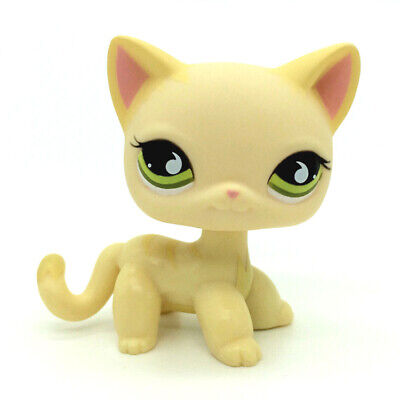 Lps yellow shorthair cat outlet