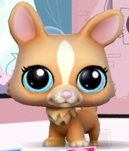 Corgi 1864 Littlest Pet Shop Collector s Wiki Fandom