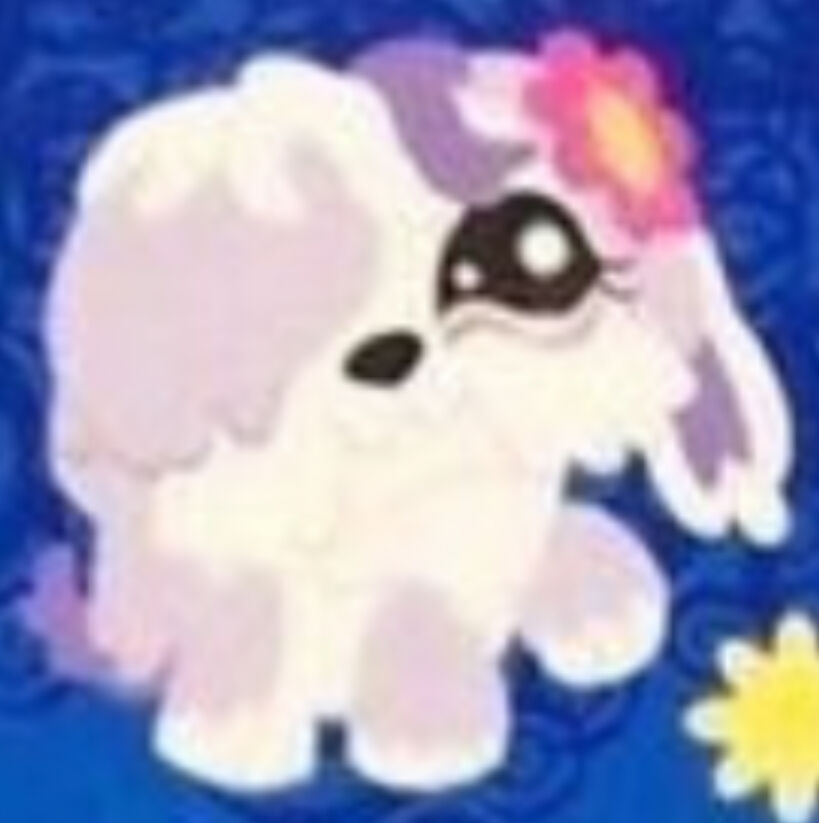 Sheepdog 921 | Littlest Pet Shop Collector's Wiki | Fandom Sheepdog 921 | Littlest Pet Shop Collector's Wiki | Fandom
