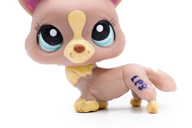 Figurine LITTLEST PETSHOP : CHAT SIAMOIS animé #PP1 (siamese cat magic motion