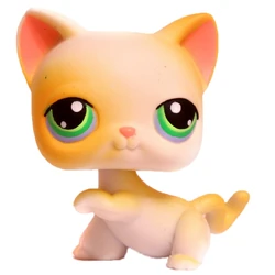 Littlest Pet Shop LPS Chat Cat #626 832 1345 + Accessoires