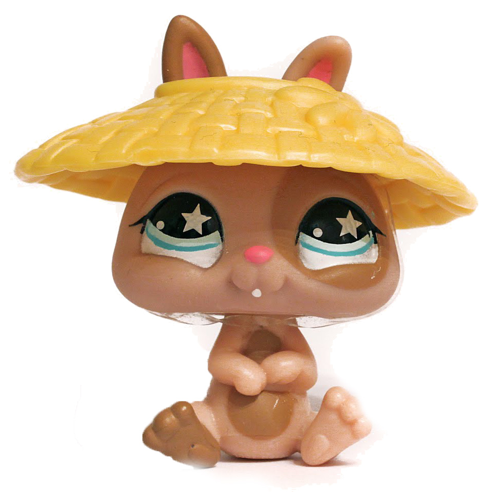 Littlest Pet Shop History  Littlest Pet Shop Collector's Wiki