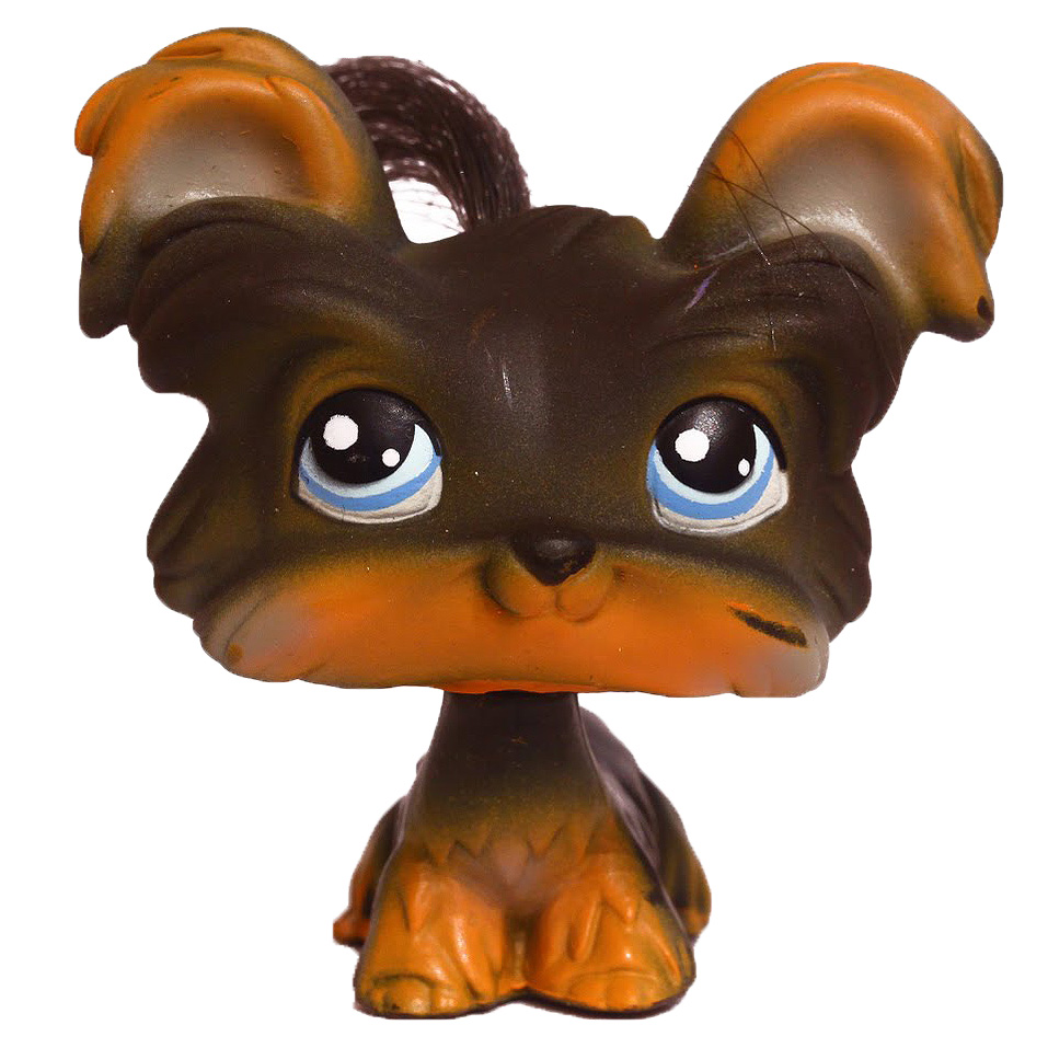 Yorkie 006, Littlest Pet Shop Collector's Wiki