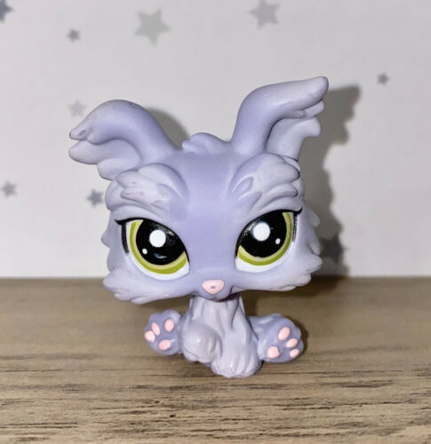 LPS Number 1, Littlest pet shop collector's Wiki