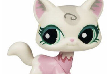 1788 cat Littlest Pet Shop Wiki Fandom