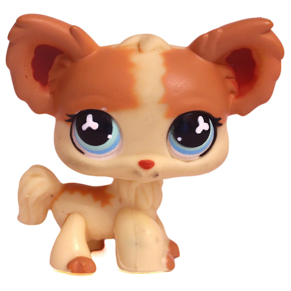 Chihuahua littlest pet shop hot sale