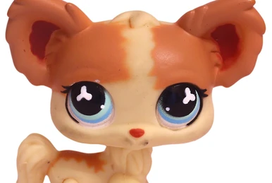 LITTLEST PETSHOP Chat cat persan 251 yeux violet LPS Hasbro