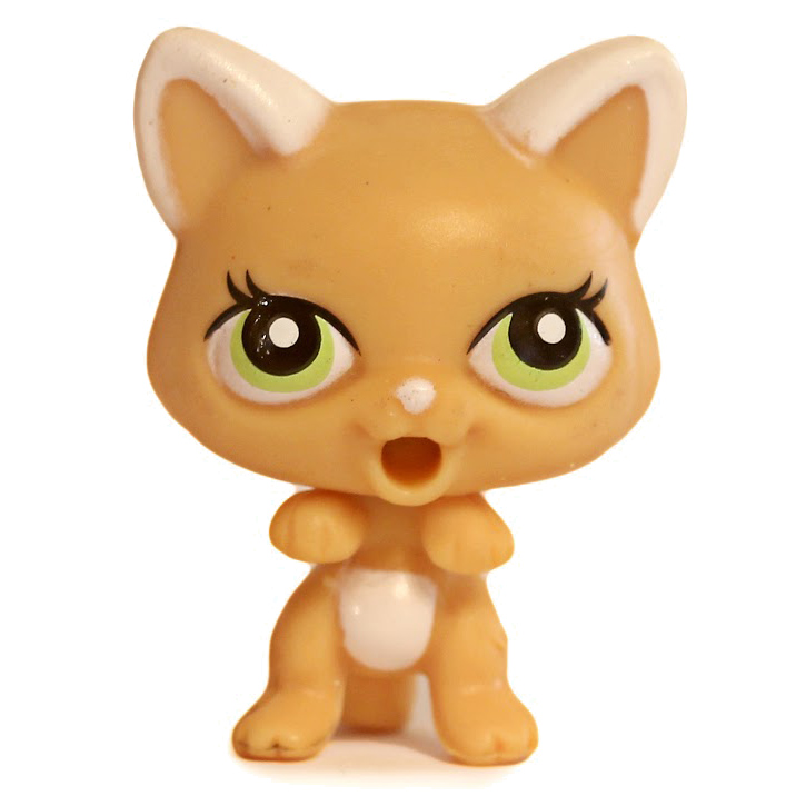 LPS Number 11, Littlest pet shop collector's Wiki