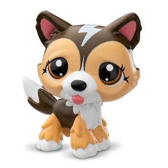 Husky G7 088 | Littlest Pet Shop Collector's Wiki | Fandom