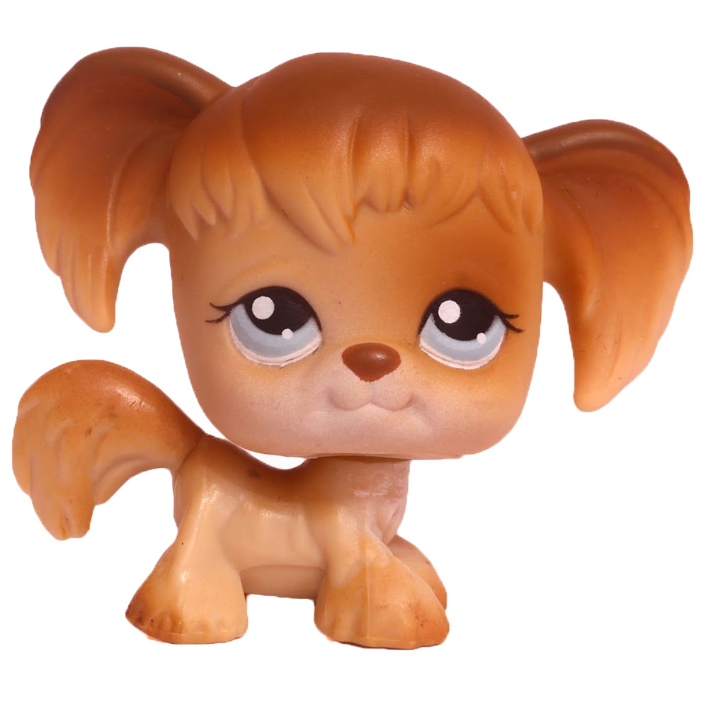 LPS Number 5, Littlest pet shop collector's Wiki