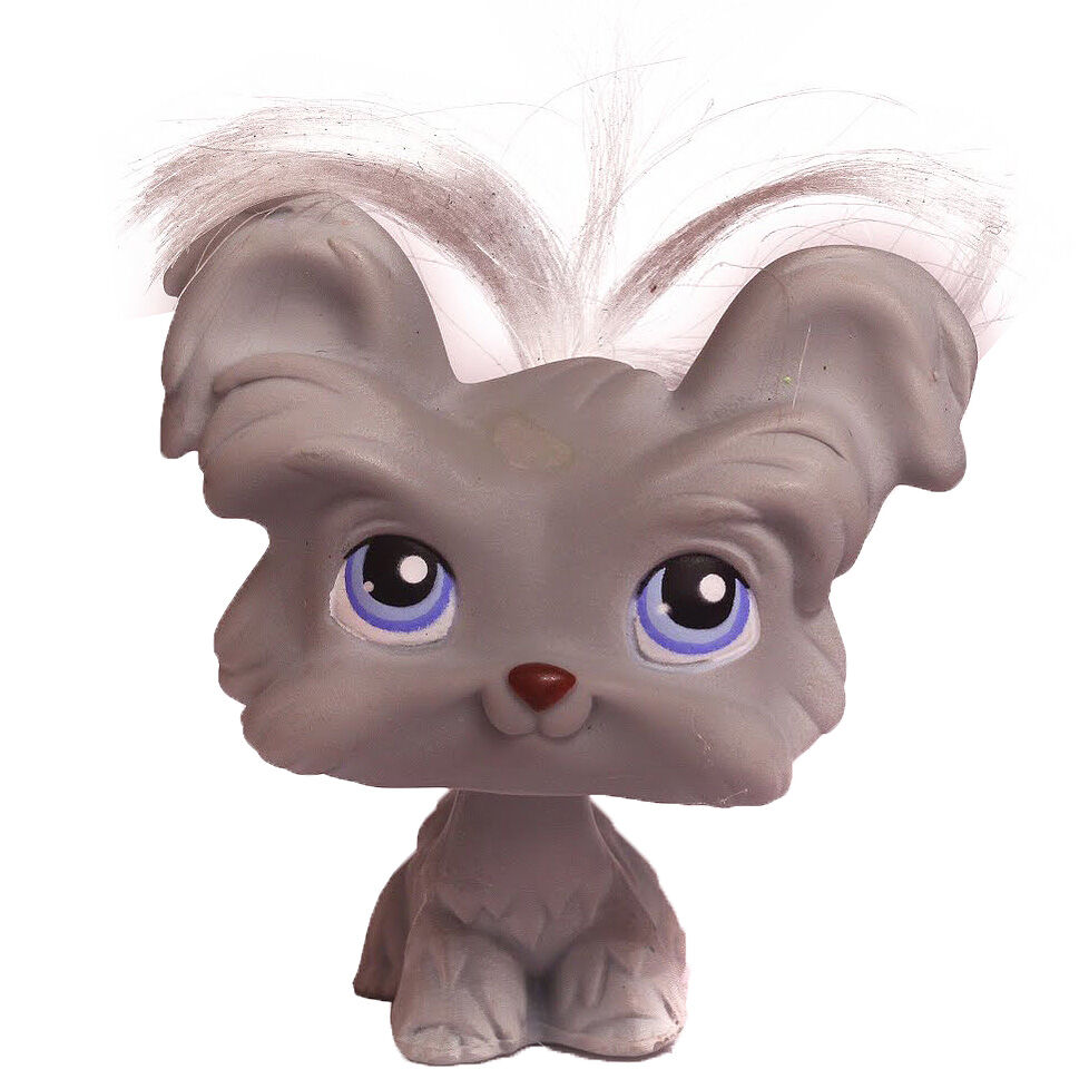 Shih 2025 tzu lps