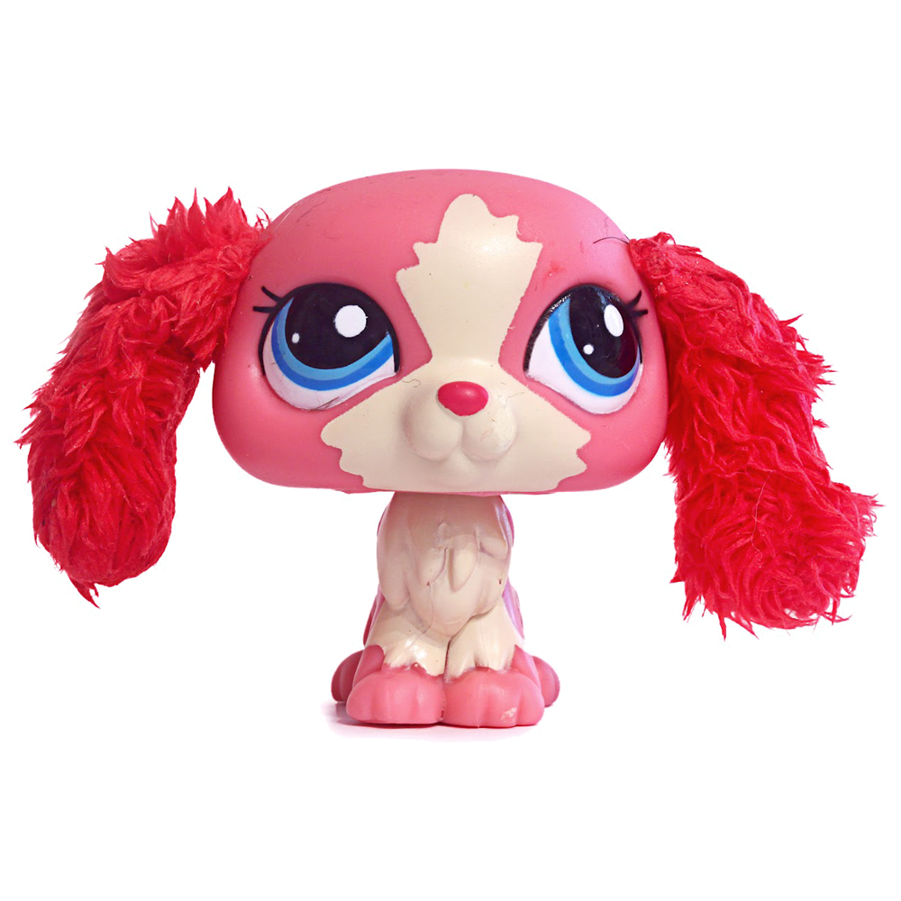 King charles spaniel lps online