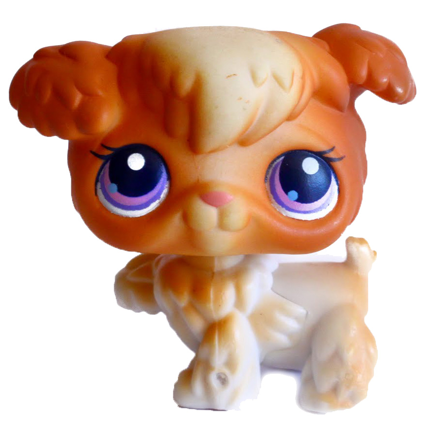 Lps poodle numbers 2025
