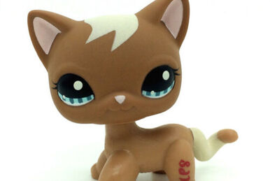 Lps shorthair cat 1116 sales