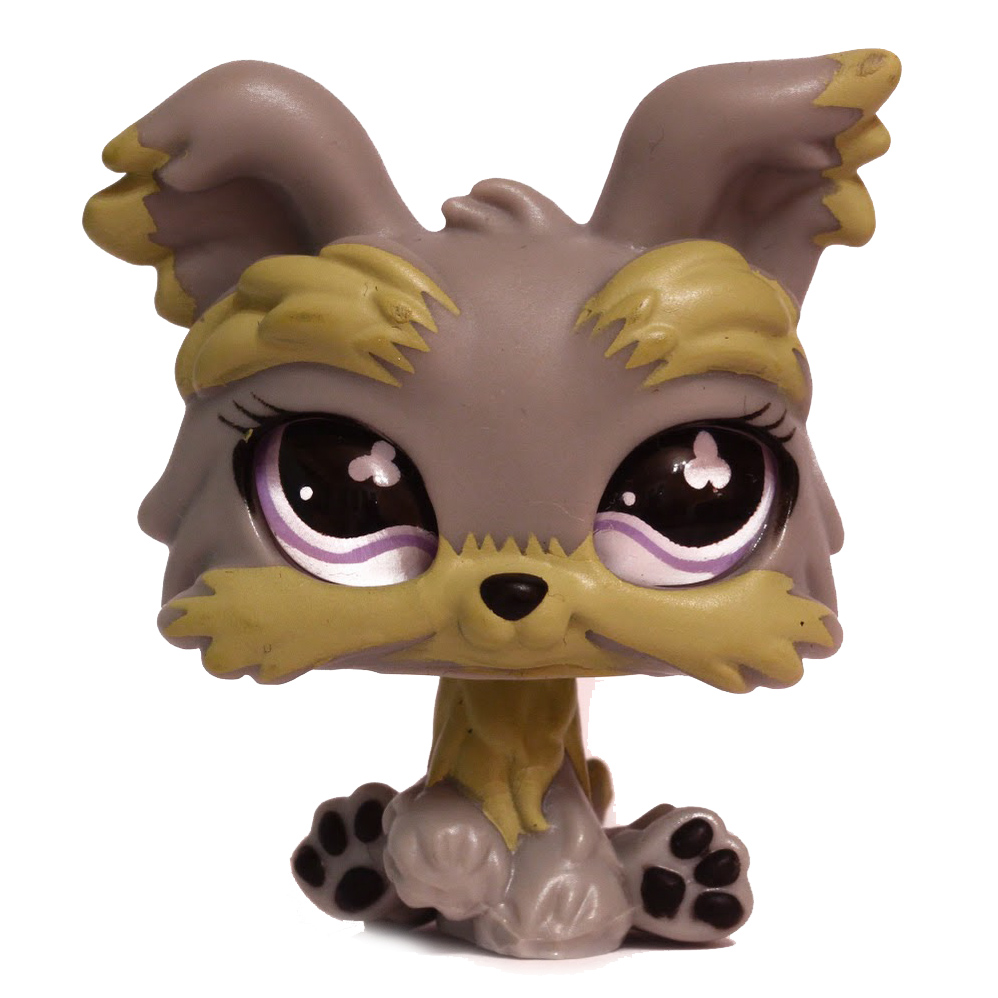 Yorkie 883 | Littlest Pet Shop Collector's Wiki | Fandom Yorkie 883 | Littlest Pet Shop Collector's Wiki | Fandom