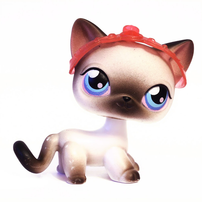 Shorthair Cat 005 | Littlest Pet Shop Collector's Wiki | Fandom