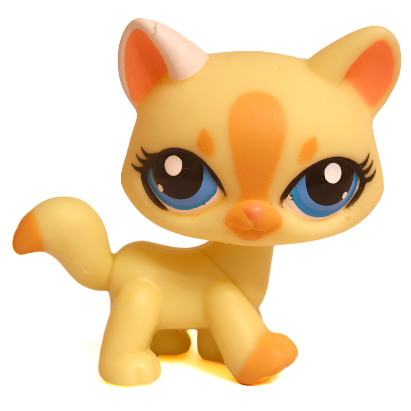 Yellow lps sale cat
