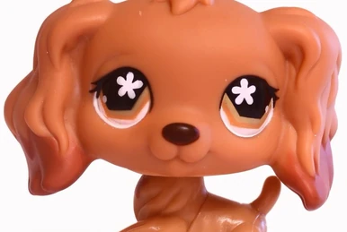 Raccoon 2442 | Littlest Pet Shop Collector's Wiki | Fandom