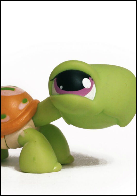 LPS Number 11, Littlest pet shop collector's Wiki