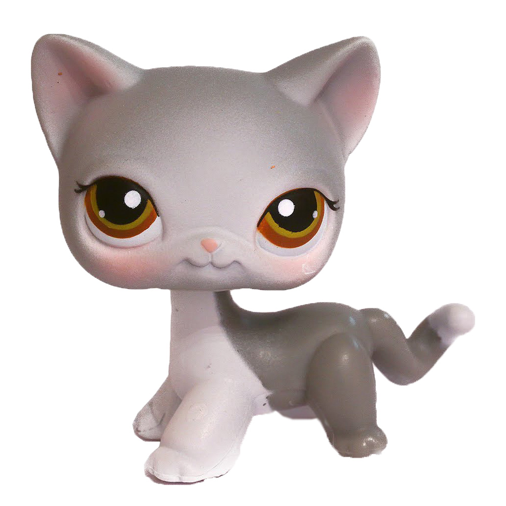 Shorthair Cat 138 Littlest Pet Shop Collector's | Fandom