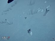 20190905174102 1.jpg (83 КБ) срубленная березка