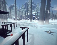 Еще один труп