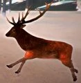 Modelo antiguo de ciervo