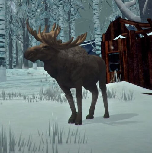 Год темного лося. Лонг дарк Лось. Лось Отрадная Долина в the long Dark. Лось из зе Лонг дарк. Лось из the long Dark.