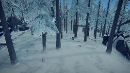 Медвежий ручей