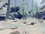 20171208180215 1.jpg (176 КБ) Берлога медведя