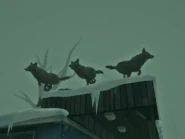 Баг с волками