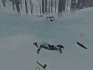 Летом здесь, наверное, было красиво