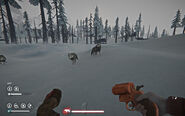 Нападение серых волков