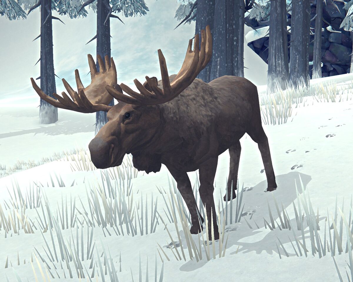 Лось | The Long Dark Wiki | Fandom