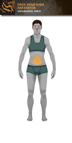 Риск кишечных паразитов