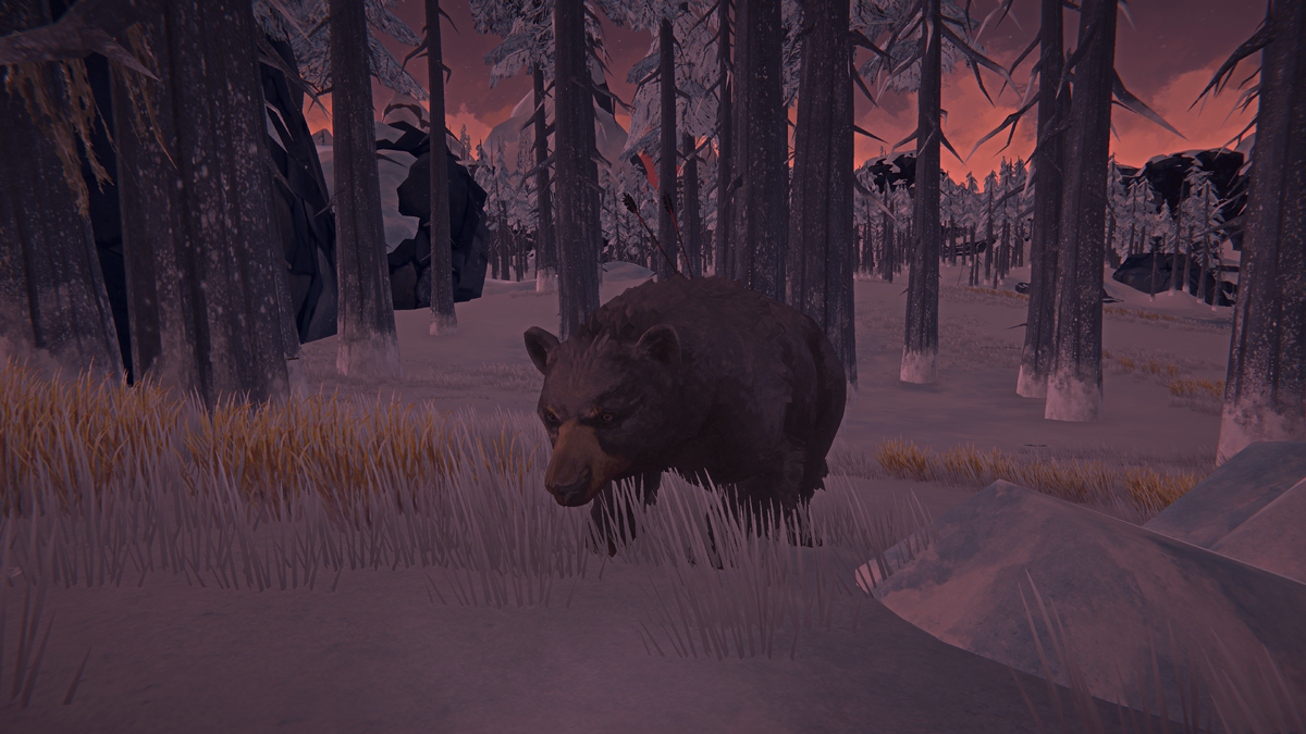 Старина Медведь | The Long Dark Wiki | Fandom