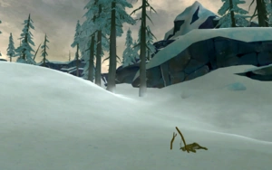 A dead rabbit, caught in a .