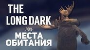 The long dark - where to find moose?