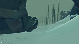 Кряж на болоте